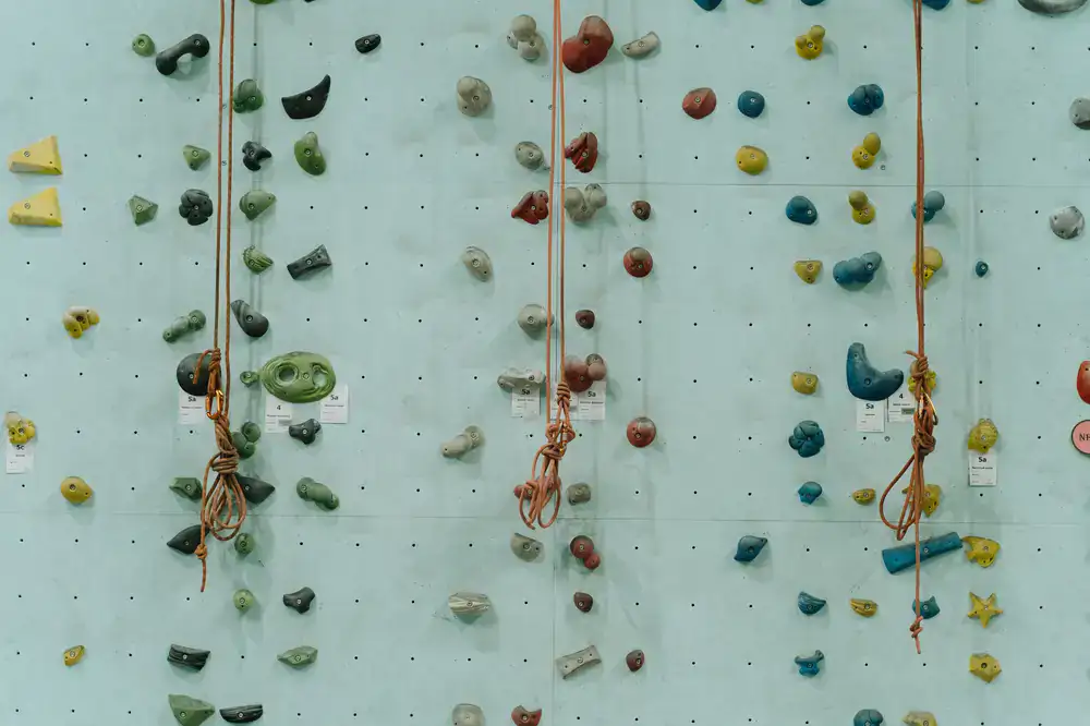 Wall displaying organized climbing gear and ropes